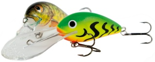 0001_Salmo_Butcher_5_cm.jpg 0001_Salmo_Butcher_5_cm.jpg
