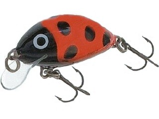 Salmo_Tiny_3_cm.jpg Salmo_Tiny_3_cm.jpg